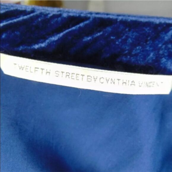 TWELFTH STREET Blue Velvet Mini Dress with POCKETS - Picture 8 of 8